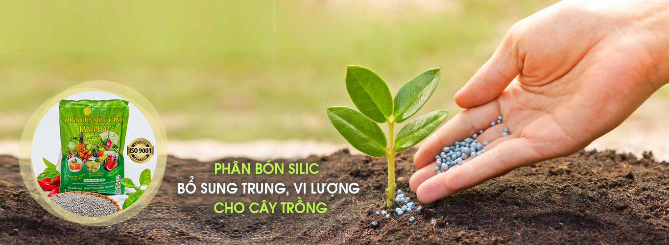 Slide trang chủ 6