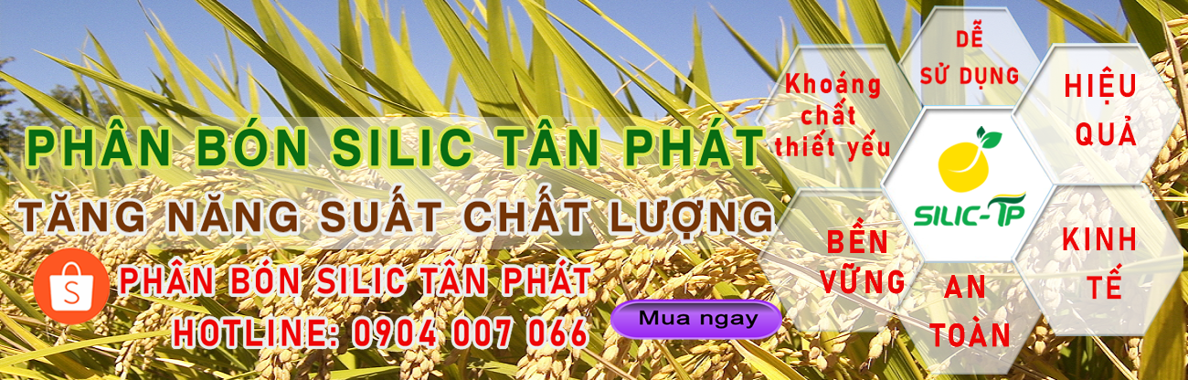 banner 1 trang lam